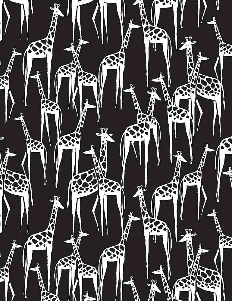 BLACK Giraffes, ABC Menagerie by Wee Gallery, Dear Stella