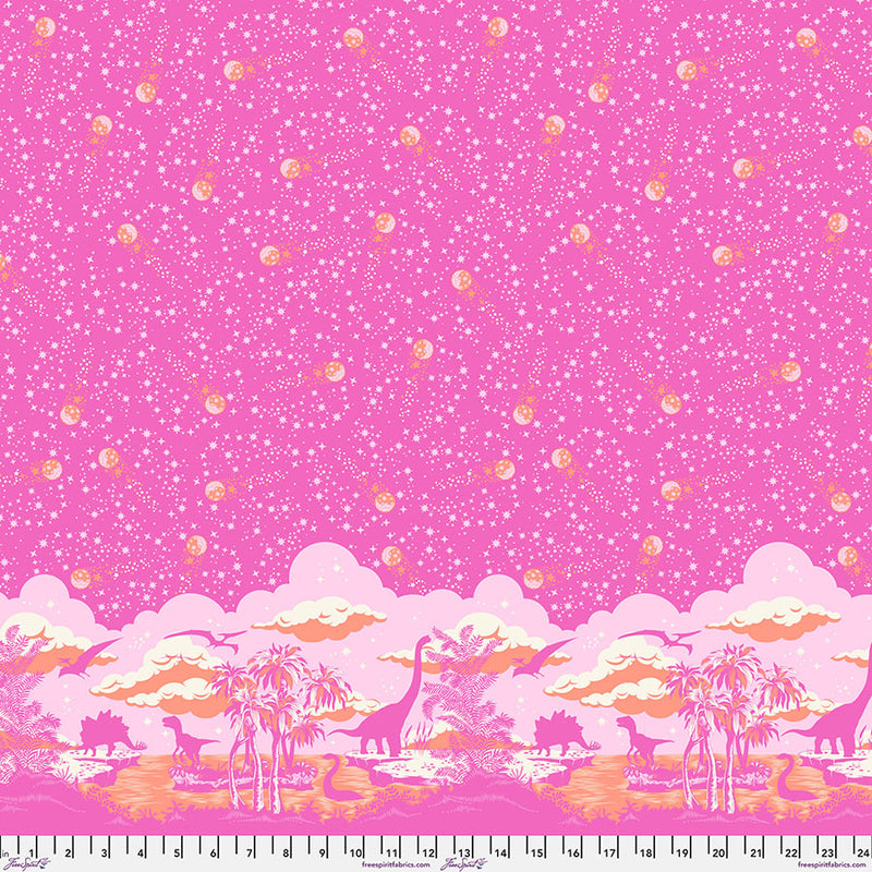 BLUSH Meteor Showers from Roar by Tula Pink - Border Print