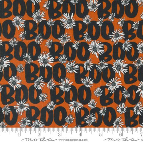PUMPKIN Boo Text from Noir by Alli K Design, Moda