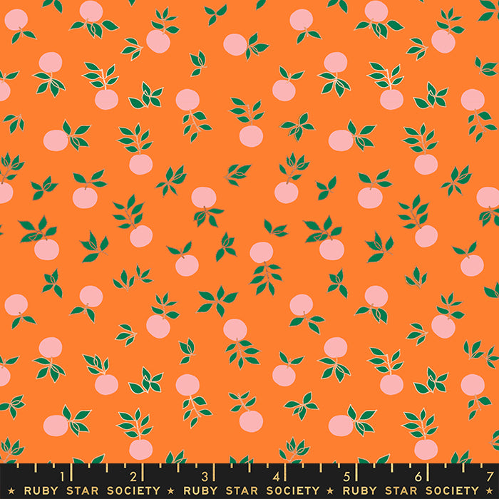 ORANGE Blossom from Stay Gold, Melody Miller