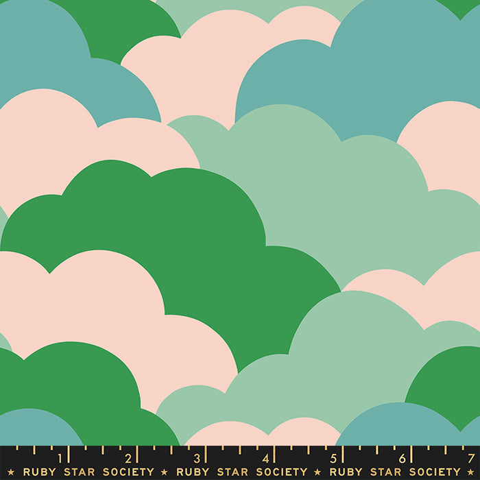 SUCCULENT, Clouds from Reverie by Melody Miller for Ruby Star Society