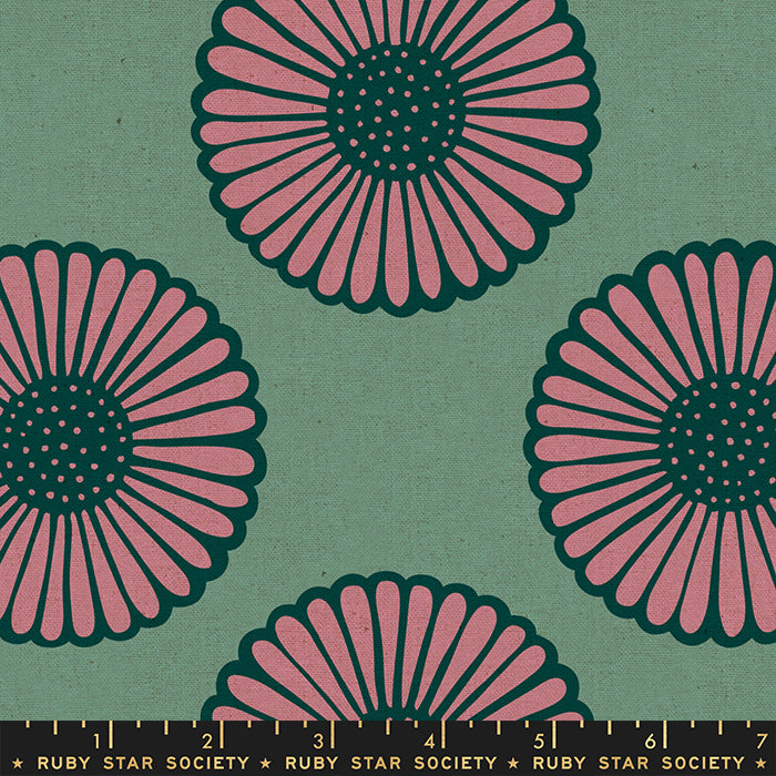 SOFT AQUA African Daisy CANVAS from Unruly Nature by Jen Hewett, Ruby Star