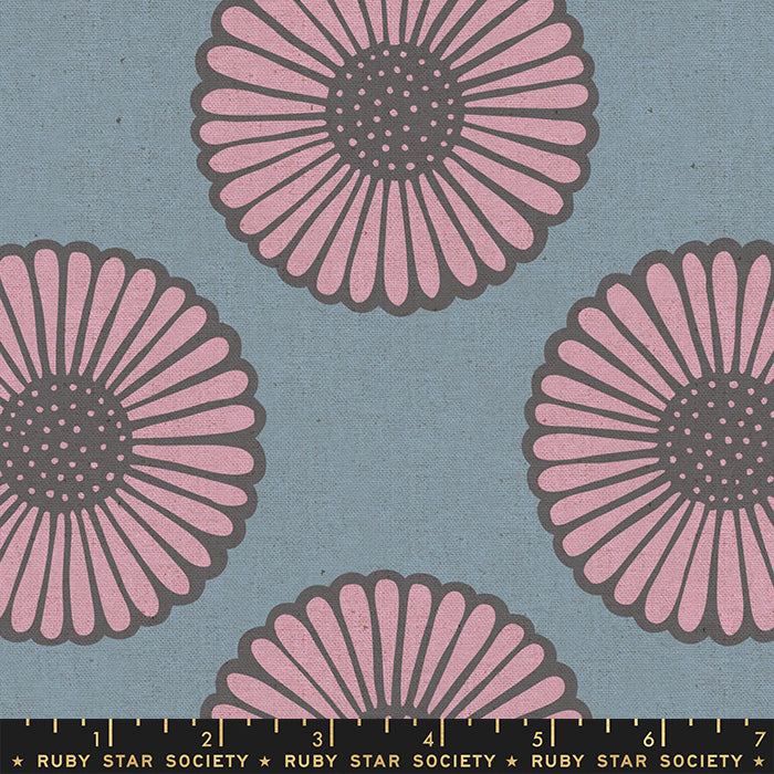 SKY African Daisy CANVAS from Unruly Nature by Jen Hewett, Ruby Star