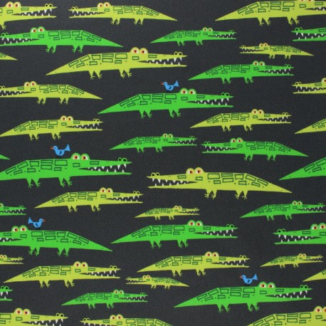 Alligators by Ed Emberley from Cloud 9
