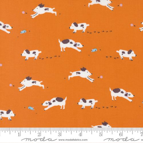 ORANGEADE Puppy Dog Tails from Pips by Aneela Hoey