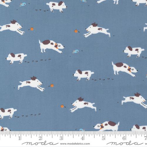 BLUEBERRY Puppy Dog Tails from Pips by Aneela Hoey