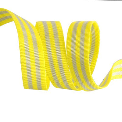 1" Striped Nylon Webbing from Tula Pink (2 yards)