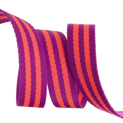 1" Striped Nylon Webbing from Tula Pink (2 yards)