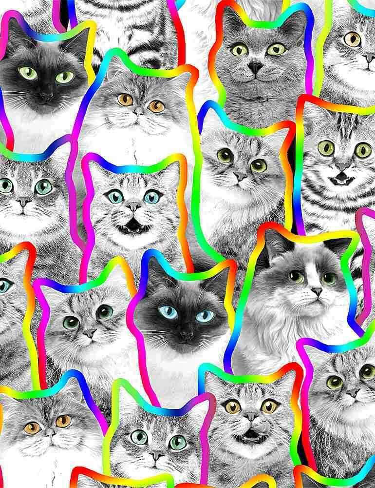 Neon Outlined Cats, Timeless Treasures
